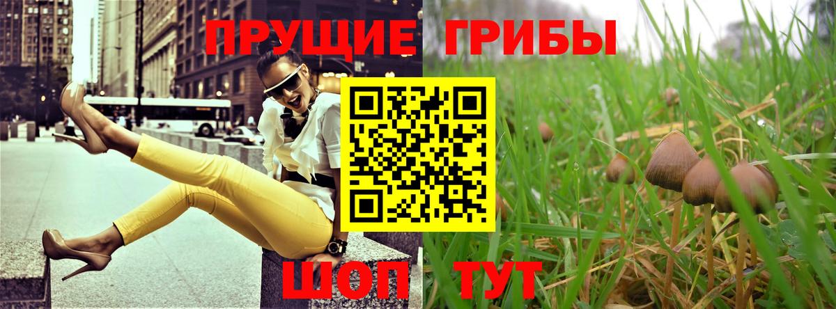 Каменск-Уральский  Галлюциногенные грибы GOLDEN TEACHER  Вход с VPN 